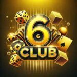 6 Club Login Logo